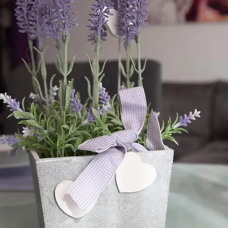 Casa Lauda In アパート *